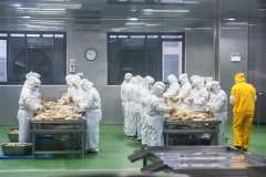  新华视点丨关于预